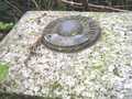 TP7144 - Height Plate