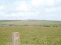 TP3066 View