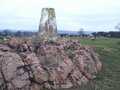 Trig at lambing season
