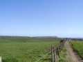 TP5729 View