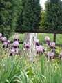 Trigpoint & irises