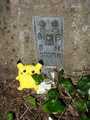 Pickachu TB at Limlow Hill TP with FB