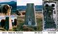 S6012 - Mailer Hill