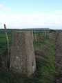 Trigpoint
