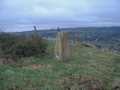 Haw Cliff Top