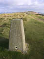 Pillar with Povington Hill in the background