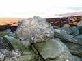 TP4856 Moel Fferna