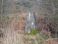Getting hidden in the undergrowth