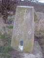 Bottesford pillar