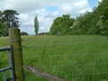 Coed Cefn Location