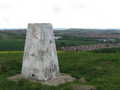 View of surrounding area (Penshaw monument in background)
