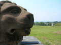 Nearby monument's lion with trig in the background