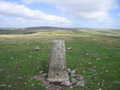 Looking North