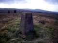 S8534 trig
