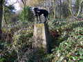 Booboo on trig.