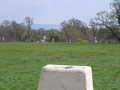 Lots of families playing on the hill