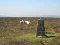Colva Hill trig pillar looking west