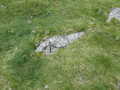 Butterdon Hill summit Bench Mark