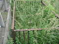Buckland FBM