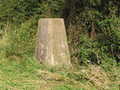 Harrison Pit