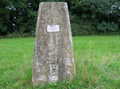 Trig