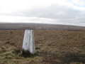 Snailsden