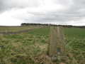 Looking toward stone works