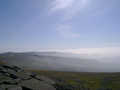 The View