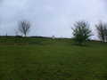 Chevet Common