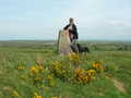 Mrs Dusty & trigpoint