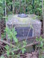 Belford FBM