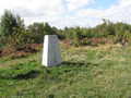 11505 Loxley Common