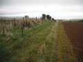 Alemill Hill