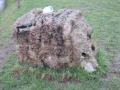 Milnthorpe trig or what\'s left of it.