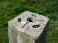 Top of pillar