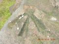 The bench mark