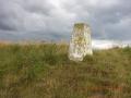 The Pillar