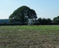 Weston Heath TP6846 
