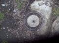 sharpah  rings on floor