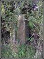 Well Hidden
