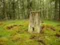 Strone Trig Point