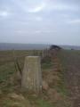 Rookery Hill TP looking SE towards Seaford