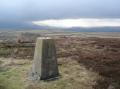 New Pasture Edge Trig Point