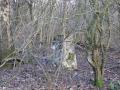 Dukes Wood