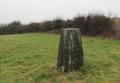 Laxton