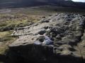 cup & ring marked rock nearby at Lordenshaw