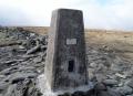 the trig