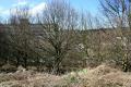 Moor Grange views