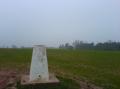 An unremarkable TP visible from the road