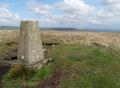 the trig